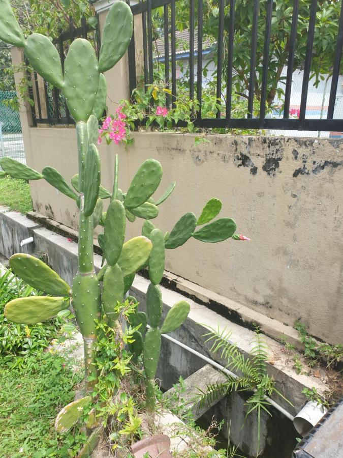 Lavender Impian Homestay كاجانغ المظهر الخارجي الصورة